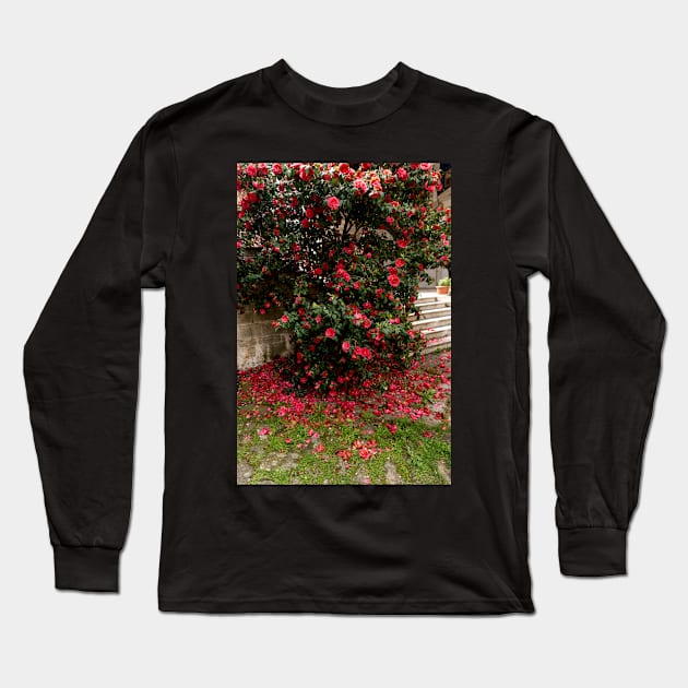 Red camellia flowers blooming in the garden Long Sleeve T-Shirt by NxtArt